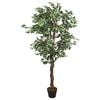 vidaXL &Aacute;rbol ficus artificial con 756 hojas verde 150 cm