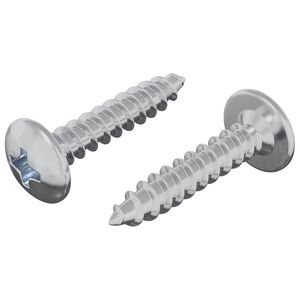 vidaXL Clavo autorroscante 2 pcs Recubierto de zinc 4 x 20 mm Acero