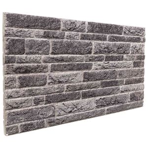 vidaXL Paneles de pared 10 uds. 100 x 50 cm Gris antracita Espuma EPS