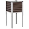 SteelBrown