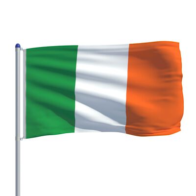 vidaXL Bandera de Irlanda y mástil de aluminio 6 m