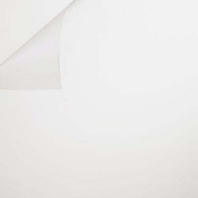 Easyprotec Lámina permanente para ventanas esmerilada blanco 90x250 cm