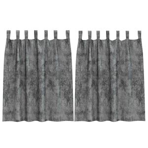 vidaXL Cortina con cortinas 2 pcs Gris 140 x 140 cm Terciopelo