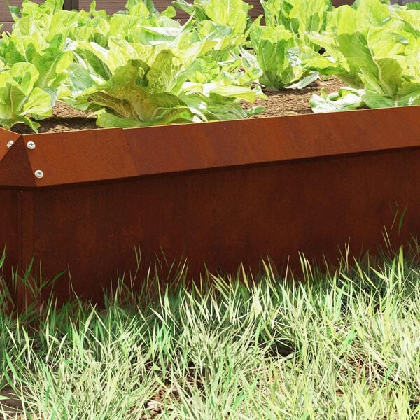 vidaXL Valla para caracoles Oxidado 50 x 3,5 x 25 cm