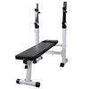 vidaXL Banco de entrenamiento de fitness y musculaci&oacute;n recto
