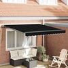 vidaXL Toldo Retr&aacute;ctil Manual Negro 300 x 250 cm Poli&eacute;ster y Acero