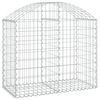 vidaXL Cesta de gaviones forma arco hierro galvanizado 100x50x80/100cm