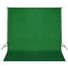 vidaXL Sistema de soporte de tel&oacute;n fondo 600x300 cm verde