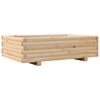 Natural_pine