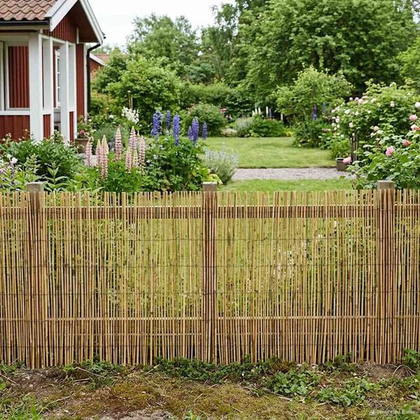 Mostrando imagen del producto 2 de 7