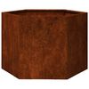 vidaXL Jardinera de acero corten oxidado 60x60x45 cm