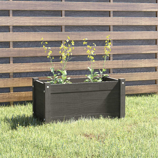 vidaXL Jardinera de madera maciza de pino gris 60x31x31 cm