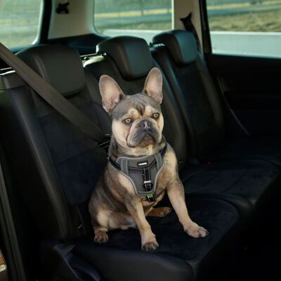 Kerbl Arnés de seguridad de coche para mascotas negro 68-85 cm