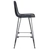 vidaXL Silla de Bar 2 pcs Negro 44,5 x 53 x 111 cm Ratan e Hierro