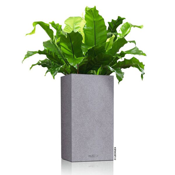 LECHUZA Macetero CANTO Stone 30 High ALL-IN-ONE gris piedra 30x30 cm