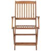 vidaXL Sillas de jardín plegables 2 uds y cojines madera maciza acacia