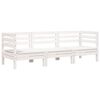 White_pine