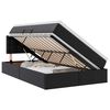 vidaXL Cama con almacenamiento y LED con tiras LED Negro 120 x 190 cm