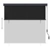 vidaXL Estor enrollable de exterior gris antracita 160x250 cm