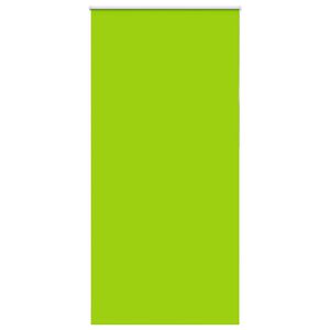 vidaXL Estor Enrollable Opaco hojas verde 105x210cm Tela Ancho 100,7cm