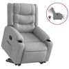 vidaXL Sill&oacute;n el&eacute;ctrico reclinable elevable de tela gris claro