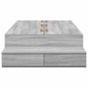 vidaXL Cama con almacenamiento Gris Sonoma 90 cm Madera contrachapada