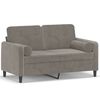 vidaXL Sof&aacute; 2 plazas almohadas y cojines terciopelo gris claro 120 cm