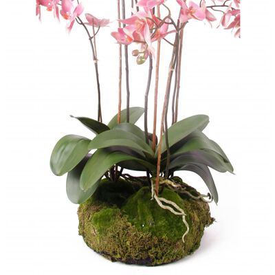 Emerald Orquídea artificial con musgo rosa 75 cm 417662