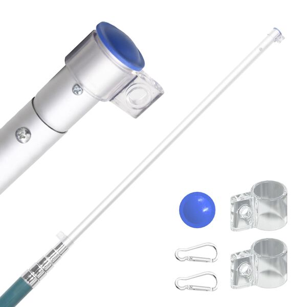 vidaXL Mástil y bandera de Francia aluminio 5,55 m