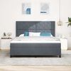 vidaXL Cama tipo Box Spring Gris oscuro 180 x 200 cm Terciopelo