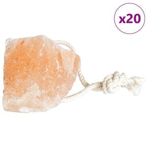 vidaXL Piedras de Sal para Lamer Rosa Sal de Roca
