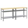 vidaXL Conjunto de banco de trabajo 2 uds. Beige y gris