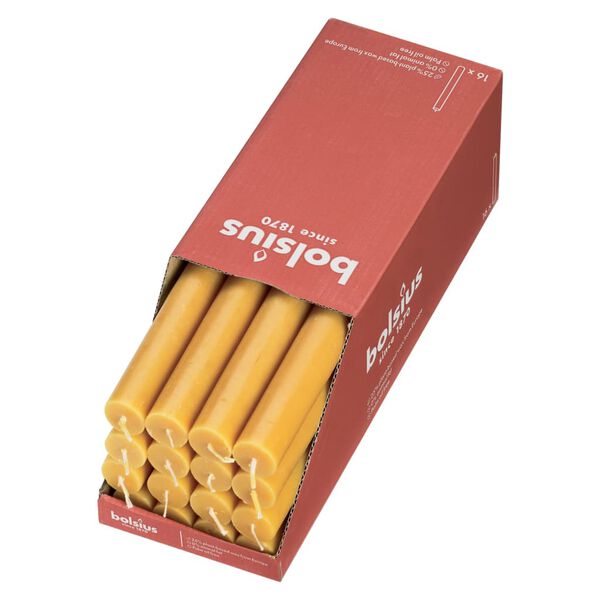 Bolsius Velas de mesa Shine 16 uds amarillo colmena 27 cm