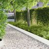 Imagen en miniatura del producto 2 de 9