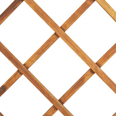 vidaXL Arriate con enrejado madera maciza de acacia 80x38x150 cm