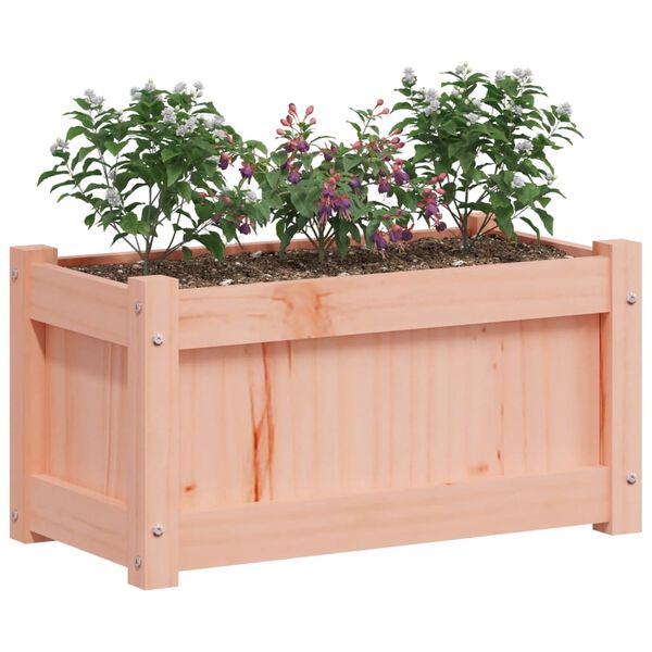vidaXL Jardinera madera maciza de abeto Douglas 60x31x31 cm