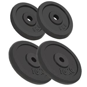 vidaXL Discos de pesas de hierro fundido 4 uds 2x10 kg+2x5 kg