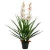 vidaXL Planta artificial orqu&iacute;dea con macetero 100 cm verde