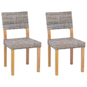 vidaXL Silla de comedor GENDT 2 uds. Rat&aacute;n Kubu Gris Kubu