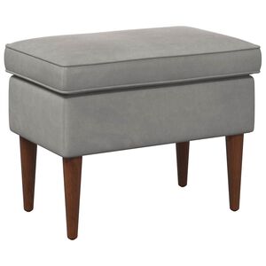 vidaXL Reposapi&eacute;s Gris Claro 55 x 35 x 41 cm Terciopelo
