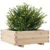 vidaXL Jardinera de madera maciza de pino 70x70x26,5 cm