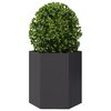vidaXL Jardineras hexagonales 2 uds acero negra 46x40x45 cm