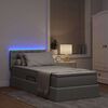 vidaXL Cama con almacenamiento y LED Gris Claro 90 x 190 cm tela
