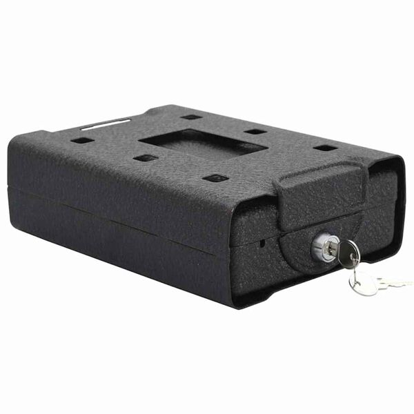 vidaXL Caja Fuerte para Auto con cerradura Negro 22 x 16 x 7 cm Acero
