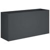 vidaXL Macetero de Jard&iacute;n Gris antracita 100 x 30 x 40 cm