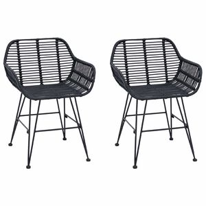 vidaXL Silla de comedor 2 uds. Ratan e Hierro Negro 55 x 50 x 74 cm