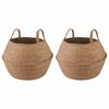 vidaXL Maceta con asas 2 pcs Natural &Oslash; 32 x 32 cm 100% Hierba marina