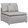vidaXL M&oacute;dulo central de sof&aacute; modular con cojines, color gris nube, 100 cm