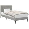vidaXL Estructura de cama Gris Claro 100 x 200 cm Terciopelo