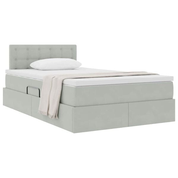vidaXL Cama con almacenamiento Gris Claro 120 x 190 cm Terciopelo